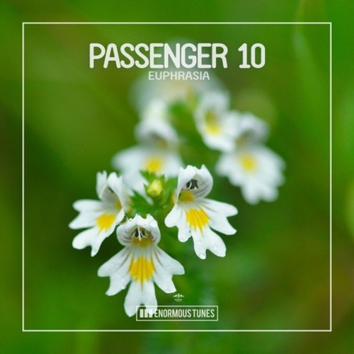 Passenger 10 - Euphrasia [ETR642]